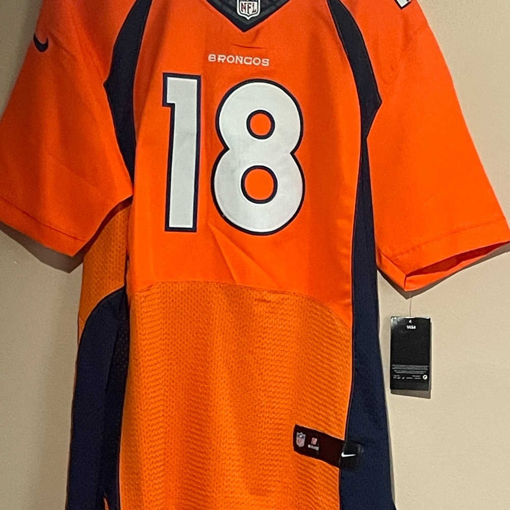 Nike Orange and Blue Jersey Performance Shirt